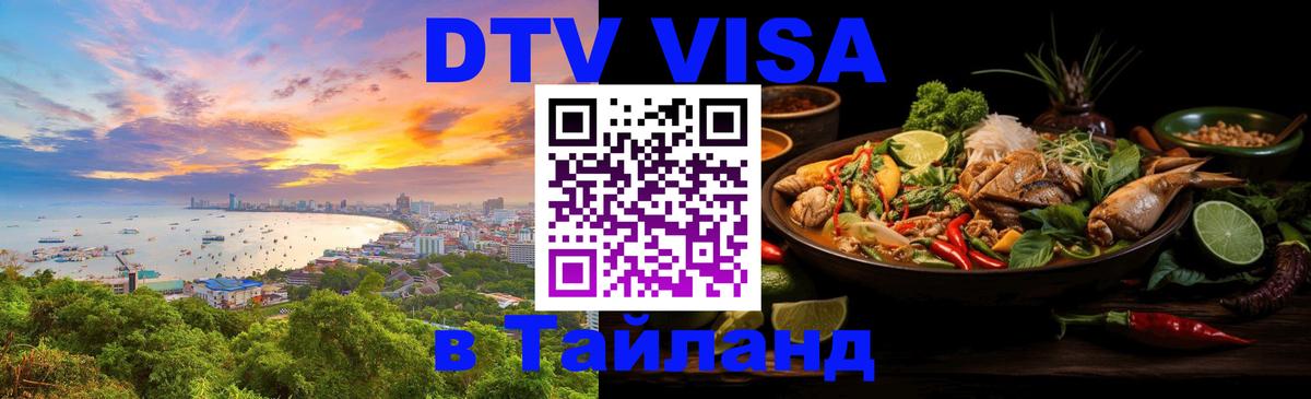 Оформление DTV визы под ключ: стоимость и тарифы, только загранпаспорт - Дамаск  18.11.2025 